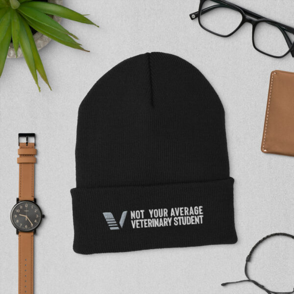 VETAHEAD Not Your Average Veterinary Student Cuffed Beanie - Image 2