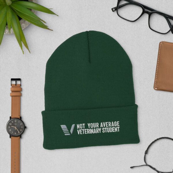 VETAHEAD Not Your Average Veterinary Student Cuffed Beanie - Image 3