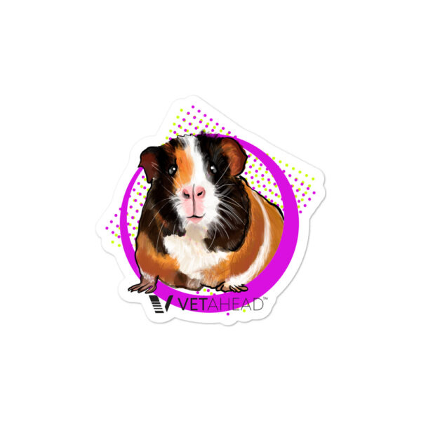 VETAHEAD Guinea Pig Bubble-free stickers