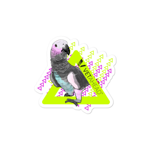 VETAHEAD African Grey Parrot Bubble-free stickers