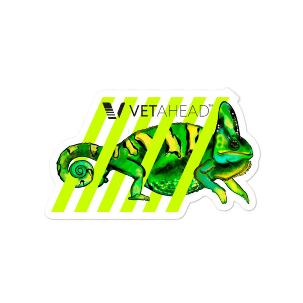 VETAHEAD Chameleon Bubble-free stickers - Image 2