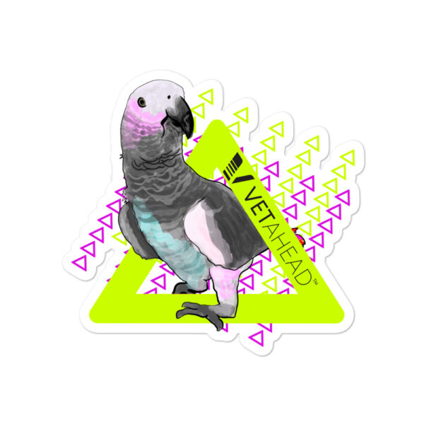 VETAHEAD African Grey Parrot Bubble-free stickers - Image 2