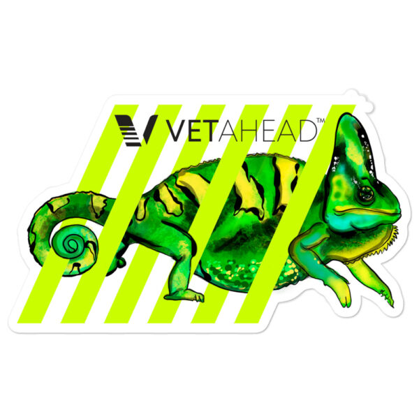 VETAHEAD Chameleon Bubble-free stickers - Image 3