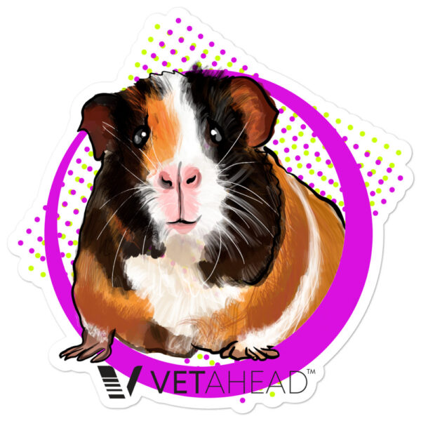 VETAHEAD Guinea Pig Bubble-free stickers - Image 3