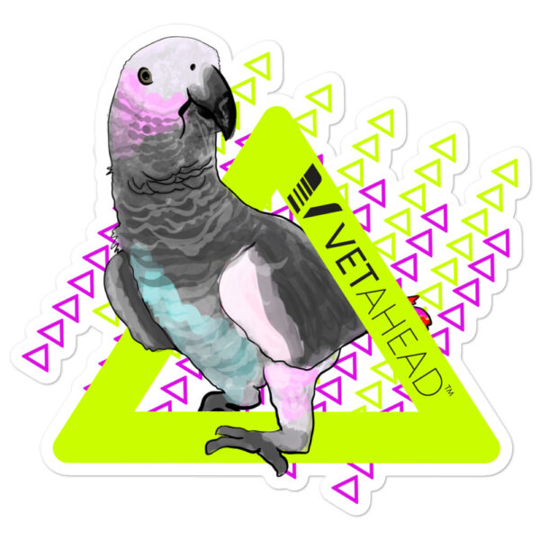 VETAHEAD African Grey Parrot Bubble-free stickers - Image 3