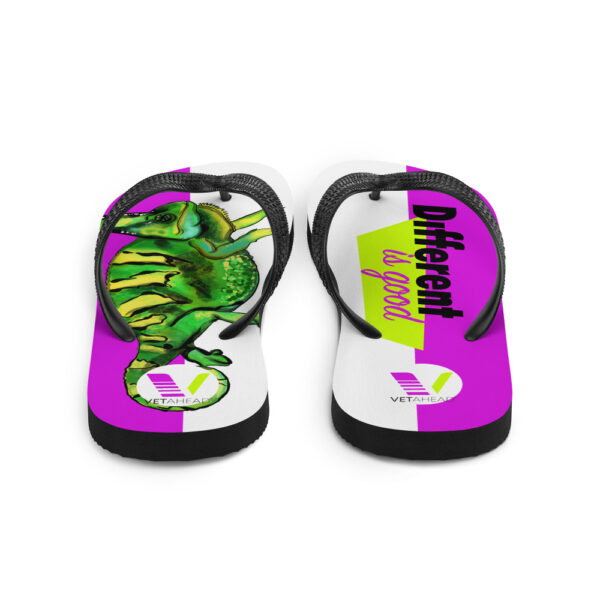 VETAHEAD Chameleon Flip-Flops - Image 3