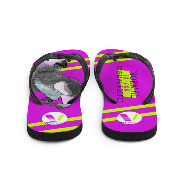 VETAHEAD African Grey Parrot Flip-Flops - Image 3