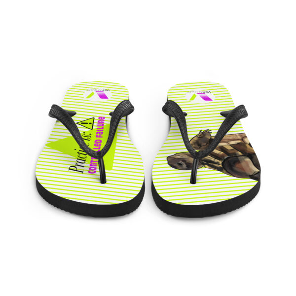 VETAHEAD Tortoise Flip-Flops - Image 4