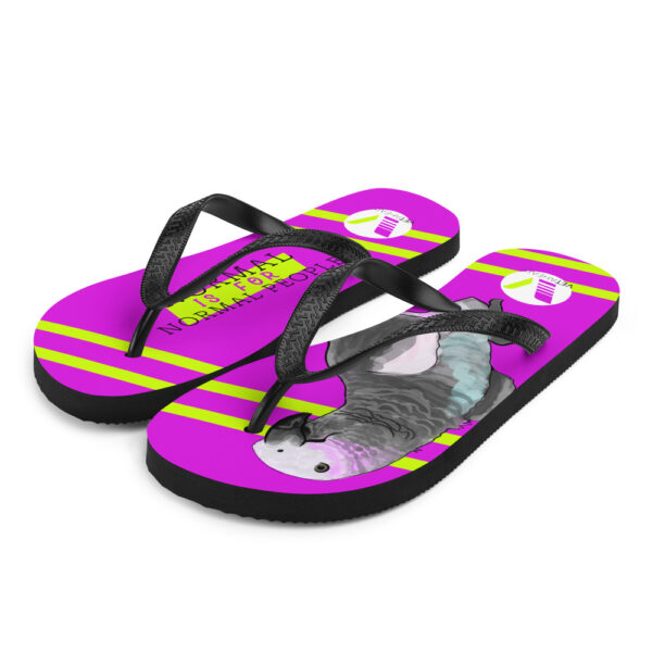 VETAHEAD African Grey Parrot Flip-Flops - Image 2