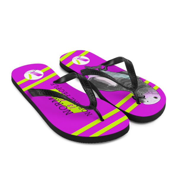 VETAHEAD African Grey Parrot Flip-Flops - Image 7