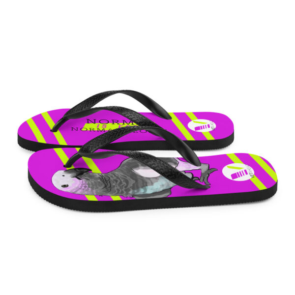 VETAHEAD African Grey Parrot Flip-Flops - Image 5