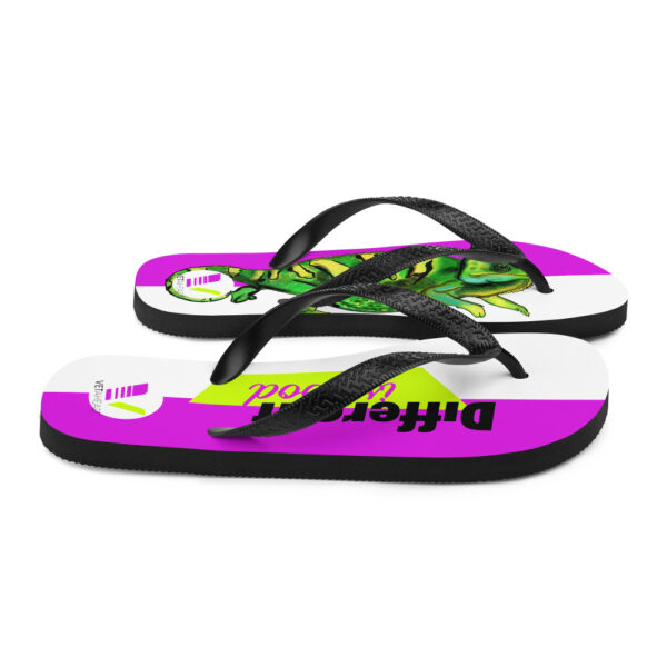 VETAHEAD Chameleon Flip-Flops - Image 6