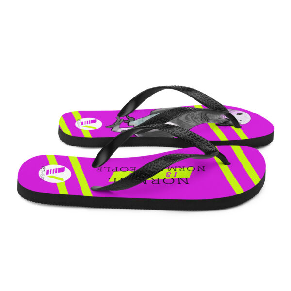 VETAHEAD African Grey Parrot Flip-Flops - Image 6