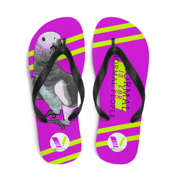 VETAHEAD African Grey Parrot Flip-Flops