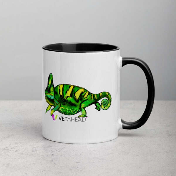 VETAHEAD Chameleon Mug with Color Inside