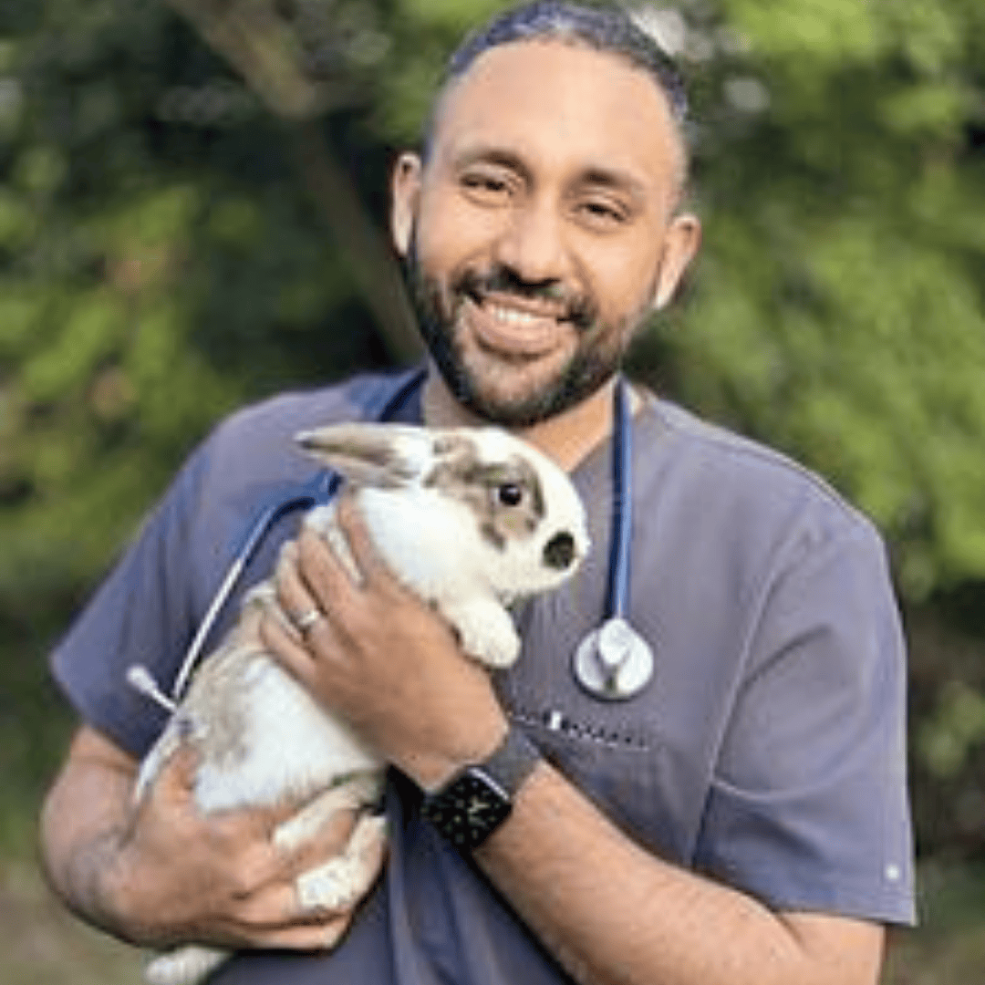 DR. ROBERTO ORTIZ